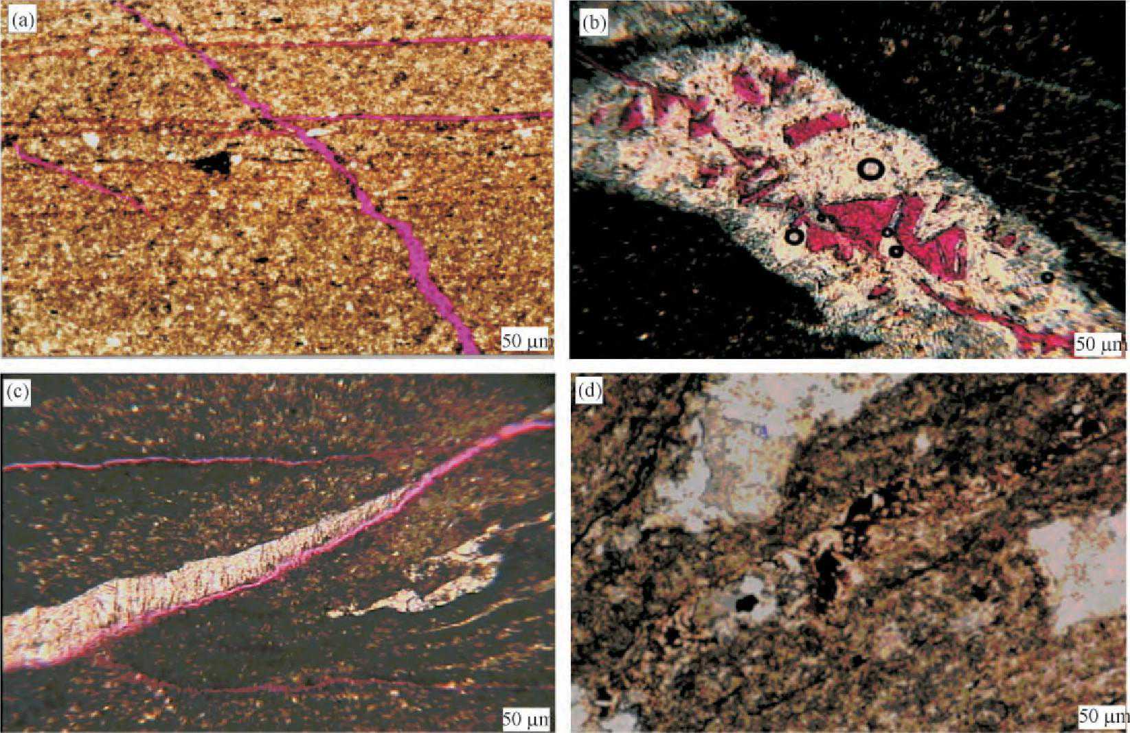 甘肃的石油资源为何如此丰富？