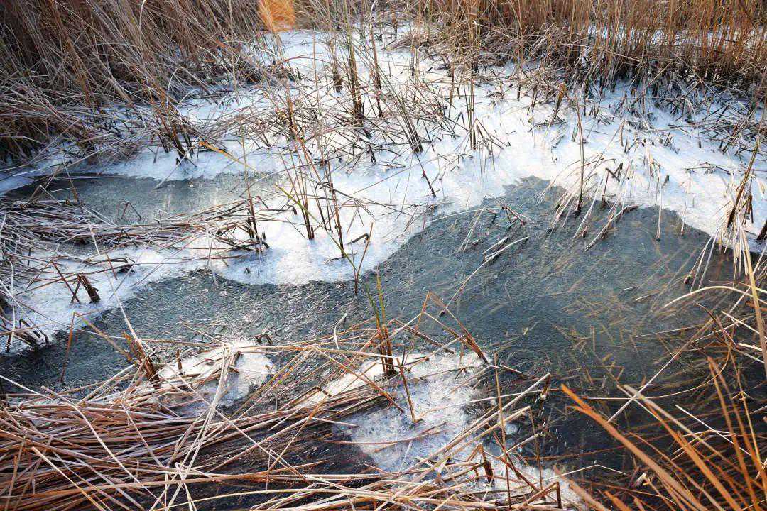一大波《庚子年》生肖邮品来袭