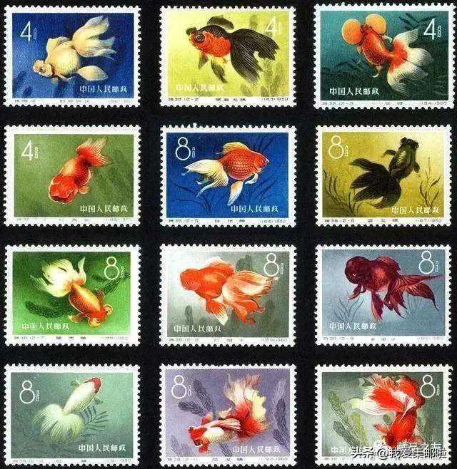 怎么辨别邮票是否“下过水”