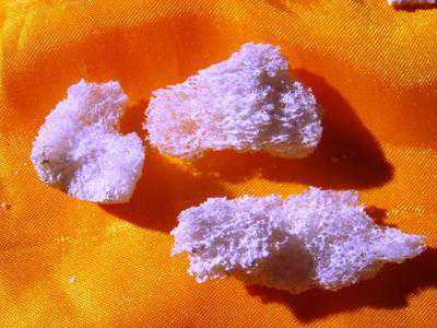 佛教圣物：佛舍利与舍利子的区别