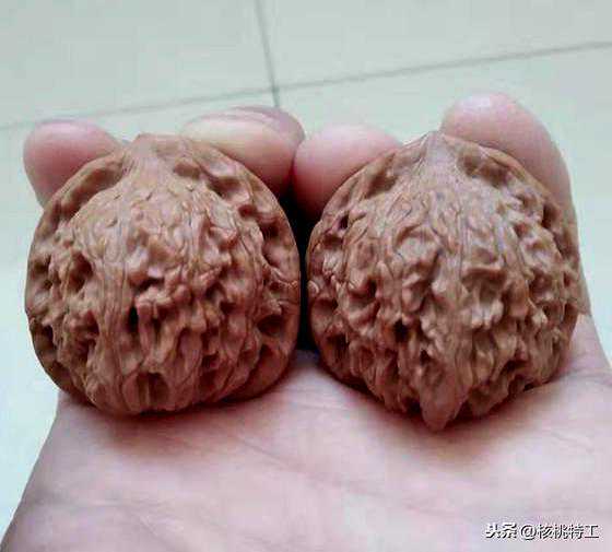 100种文玩核桃品种分享之42：红狮子
