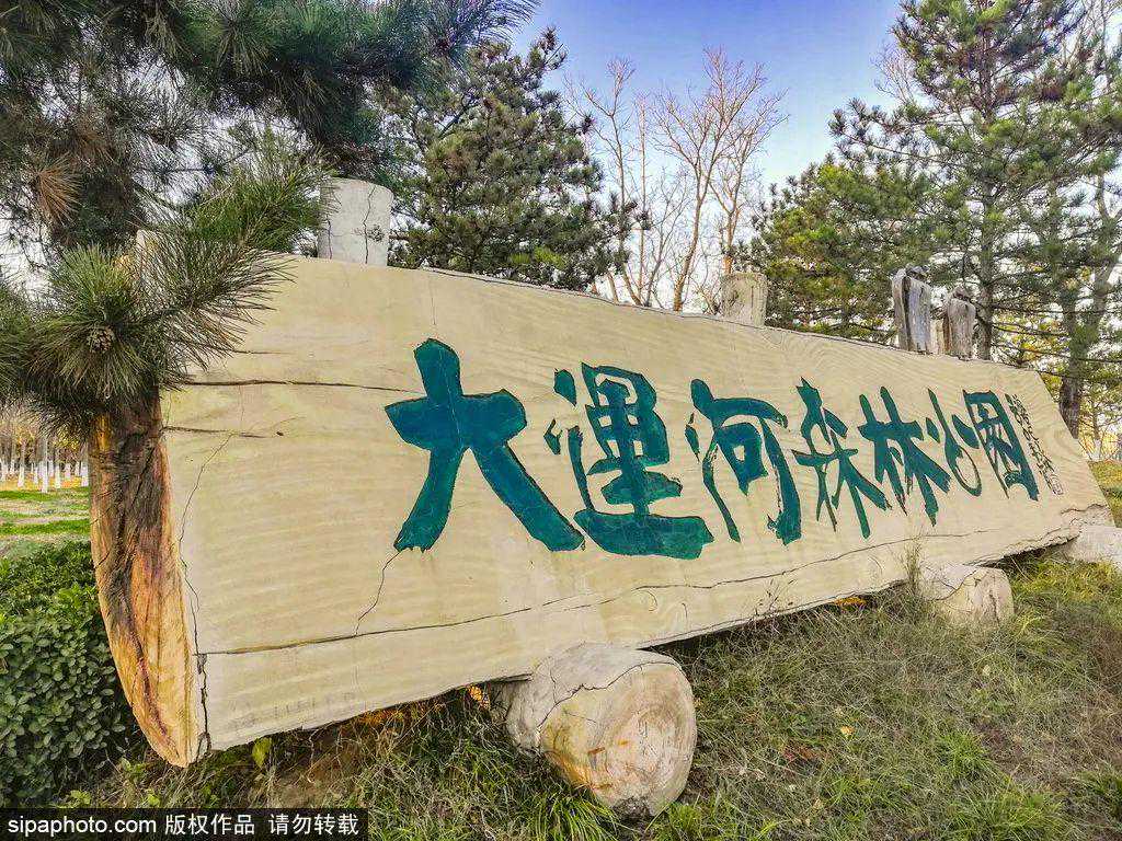 笔扫千载铸丰碑——王铎书法《赠郑公度草书诗卷》欣赏