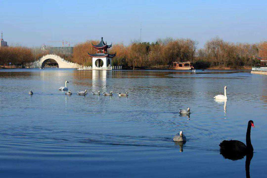 【河北县情概览】邯郸市广平县