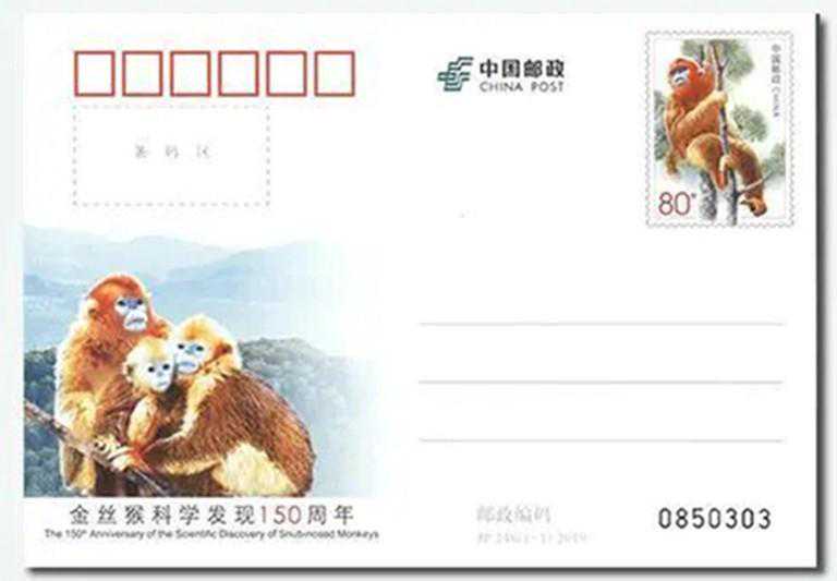 中国邮政邮票上的金丝猴