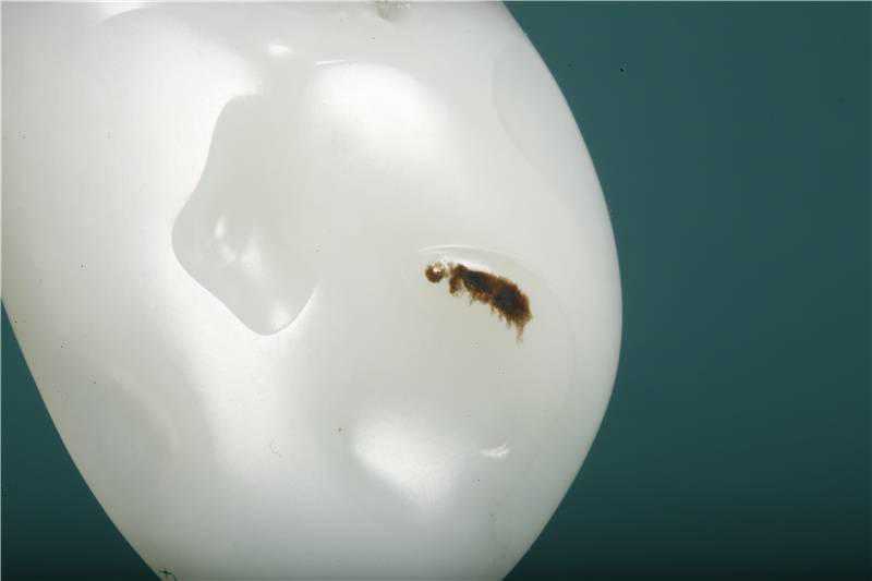 从100块到几百万，多少钱才能买一个羊脂玉？