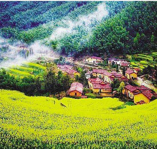 来打卡！颜值爆表的条鲜花古道