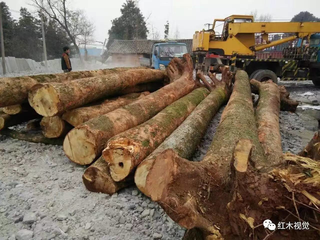 真正的千年阴沉木金丝楠到底是什么样的