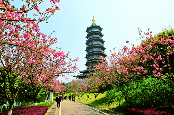 快收藏！270余个好去处，一整个春天都在这里了！