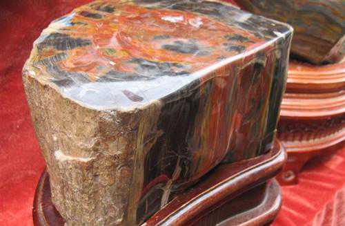 树化石图片与价格分析 树化石有收藏价值吗