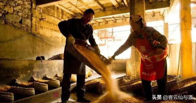小曲固态白酒中培菌工艺如何操作？酿酒人必看加收藏