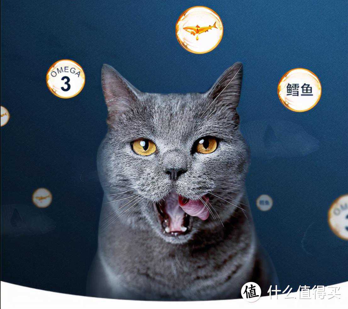 双十猫粮囤货指导手册，14款猫粮横向比较，收藏不用谢