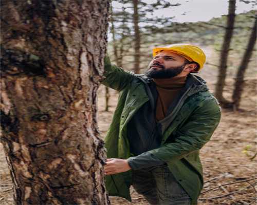 俊逸超群，又一位画菊大师——顾伯达