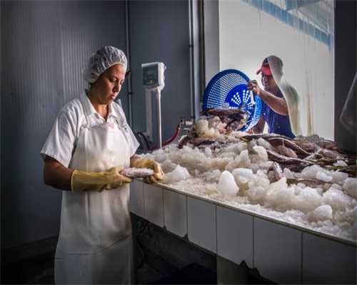 独特的胡人骑狮