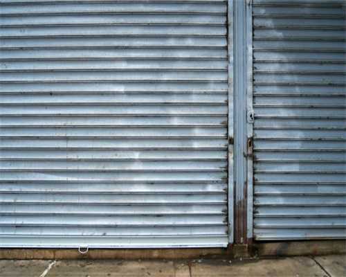 南石饲养手册｜从龟苗到种龟的培育（收藏篇）