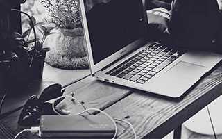 名木记—太行崖柏