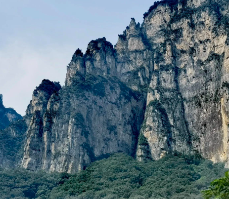 蟠龙湖畔高粱红 元氏县调整农业种植结构拓宽增收路