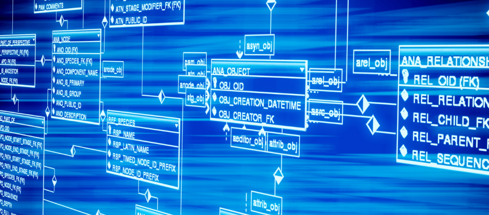 紫砂壁瓶 | 一半花容一半瓶
