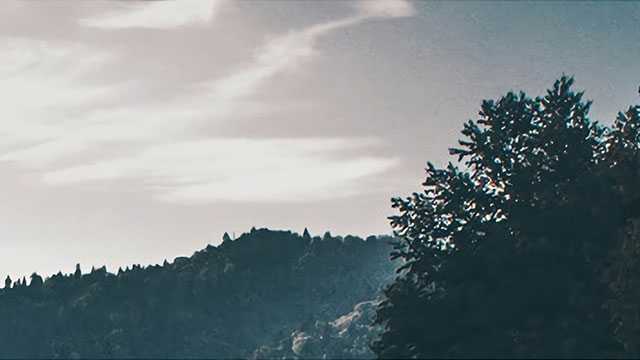 28万元一桌的“满汉全席” 你见过吗